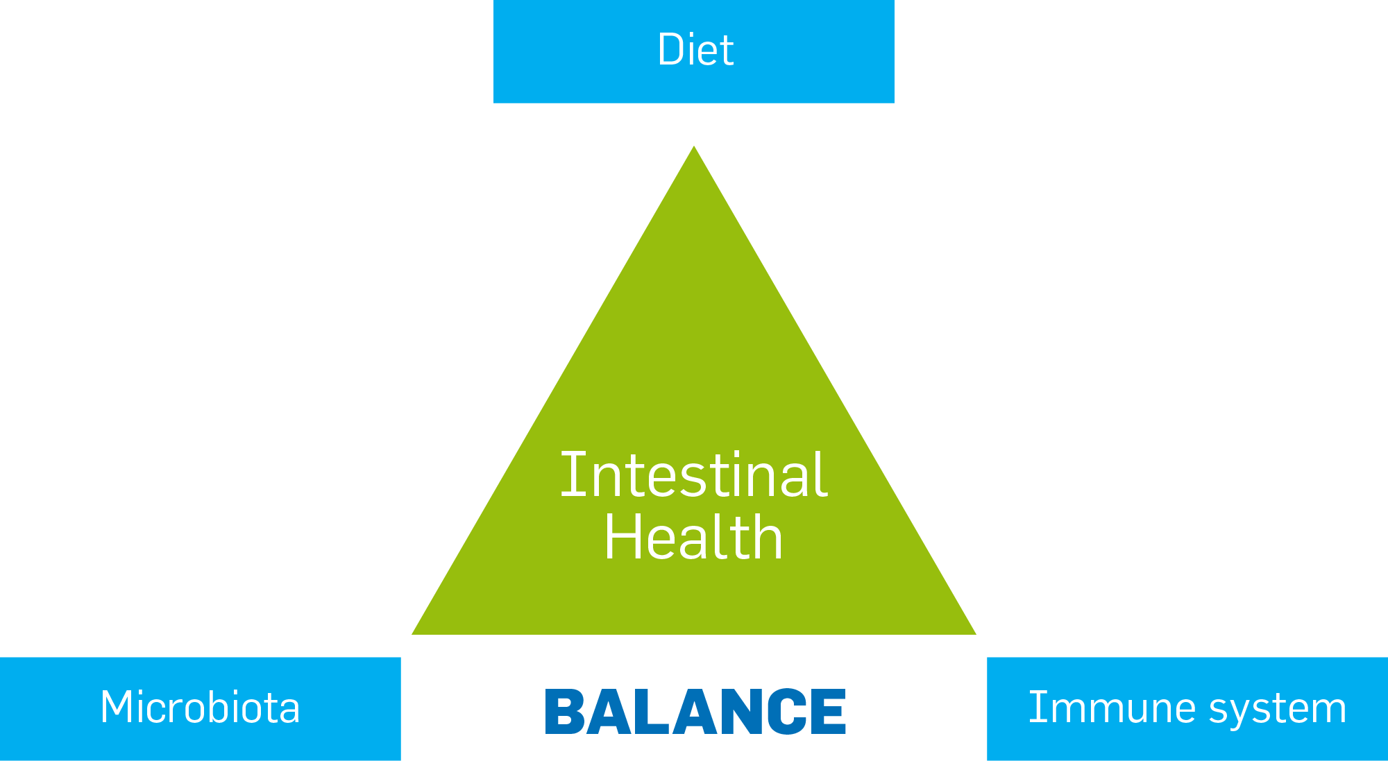 Intestinal healt triangle.png